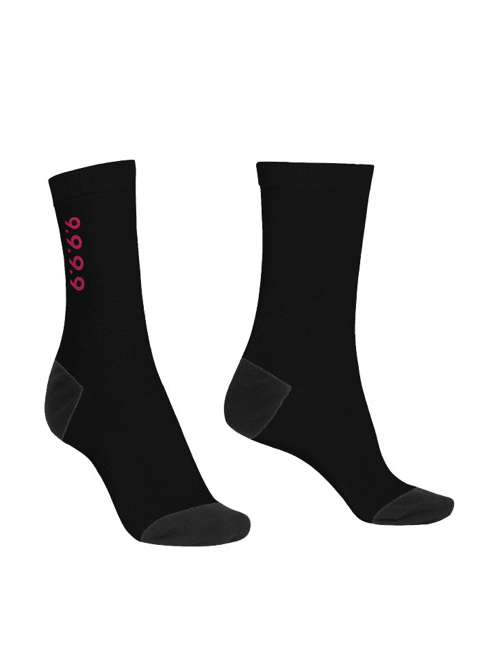 IPV4 Crew Socks product image (2)