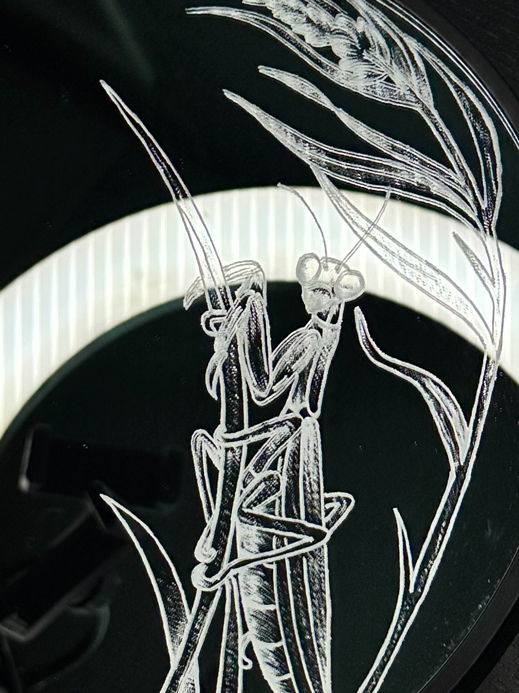 Praying Mantis Mirror product image (1)