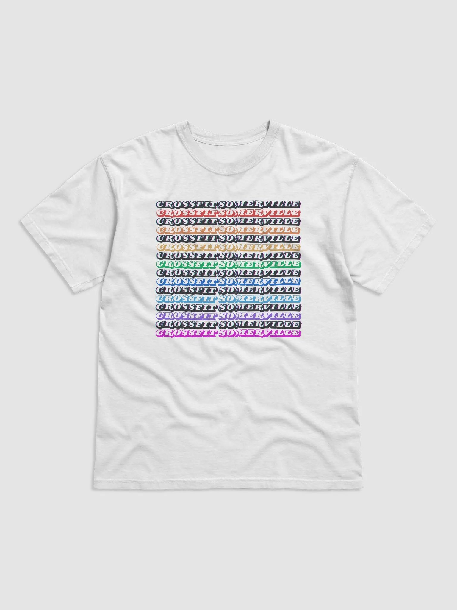 CFSV Pride T-Shirt (Comfort Colors) product image (2)