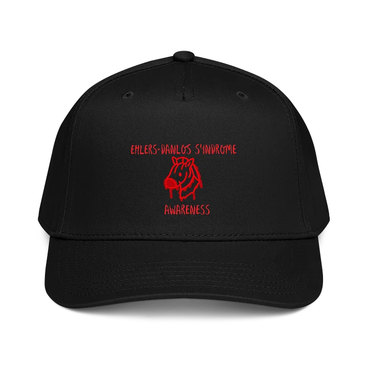 EDS AWARENESS Cap product image (1)