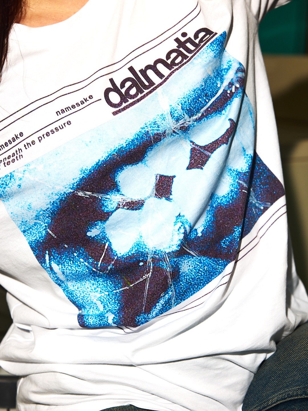 Dalmatia Namesake Tee product image (4)