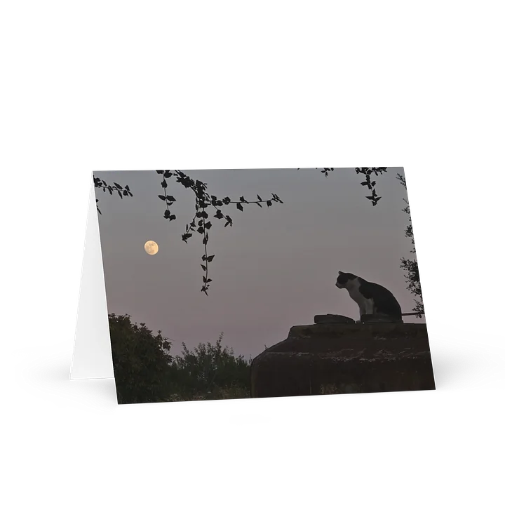 Feline Admiring the Full Moon Greeting Card product image (1)