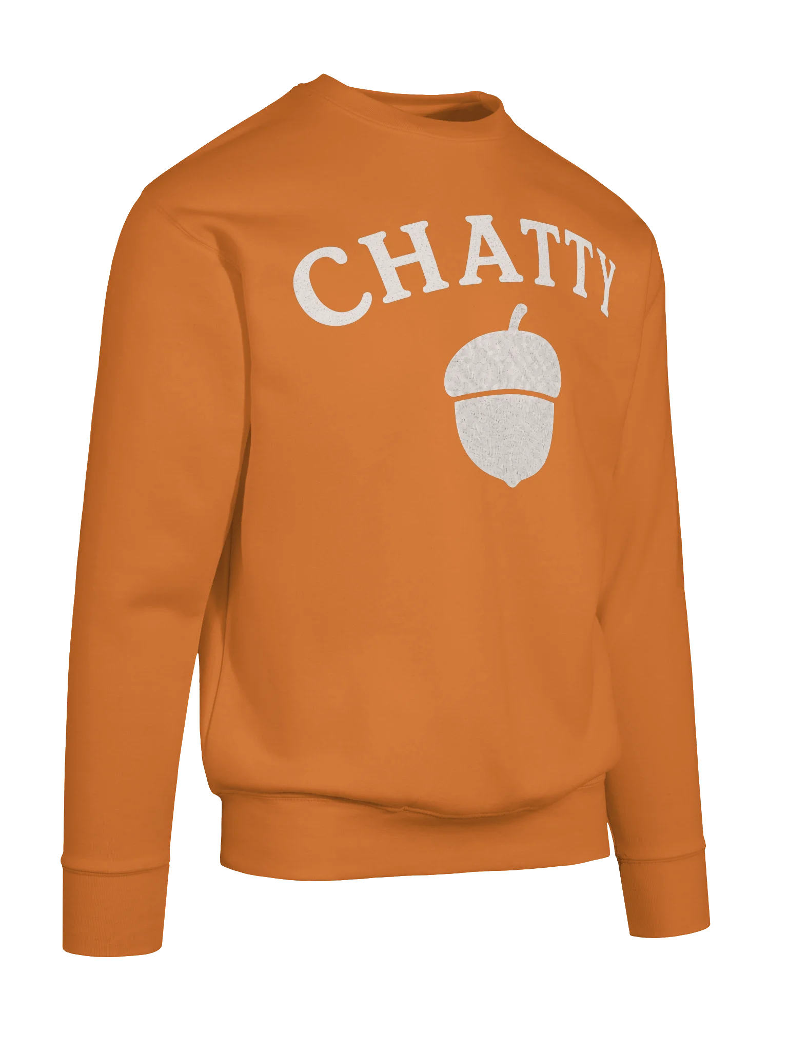 Chatty Acorn Premium Sweatshirt | Cozy Chatty Fall Collection product image (7)