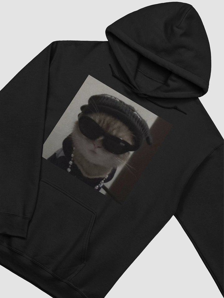 swag hoodie product image (2)