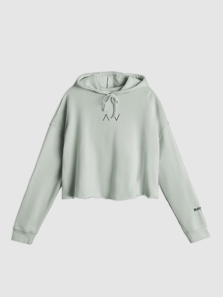 Peak and Pit Cropped Hoodie product image (1)