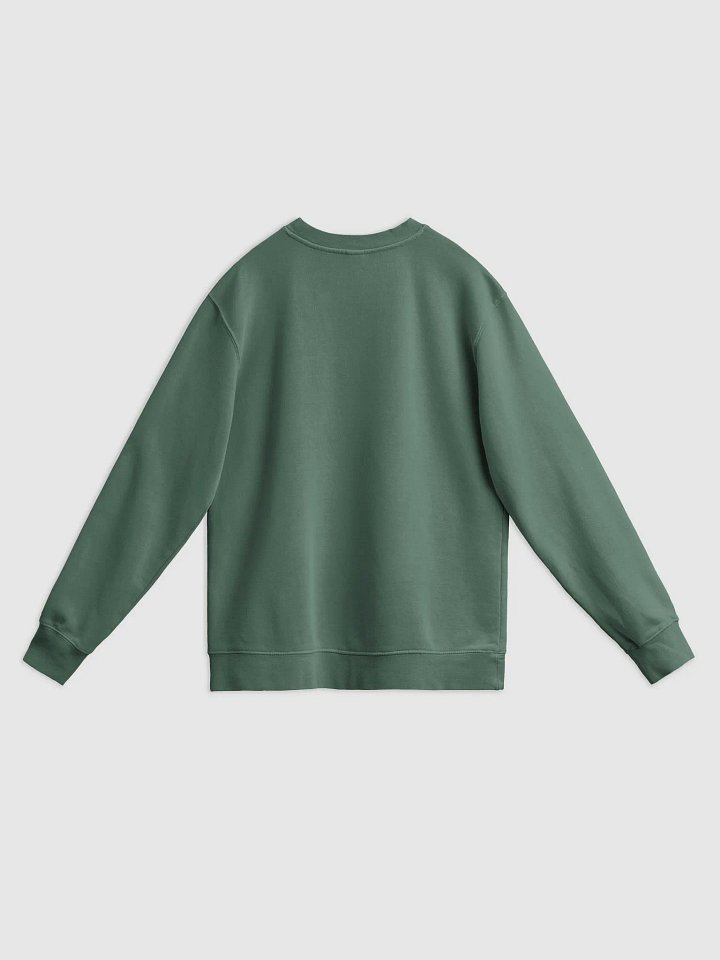 BUSY-BRAINED (lined design, #96B697) printed pigment crewneck product image (9)