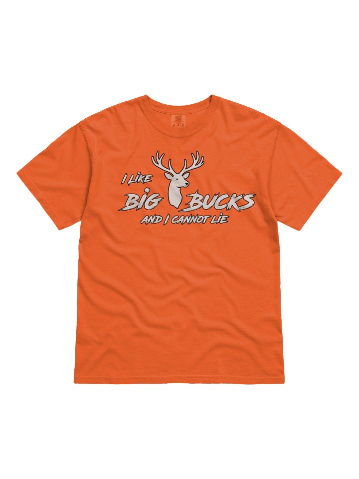 I Like Big Bucks Tee product image (1)
