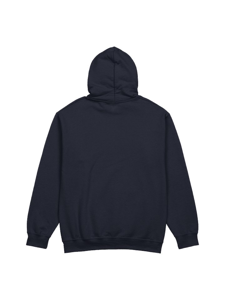 Reconnect Sweatshirt product image (4)