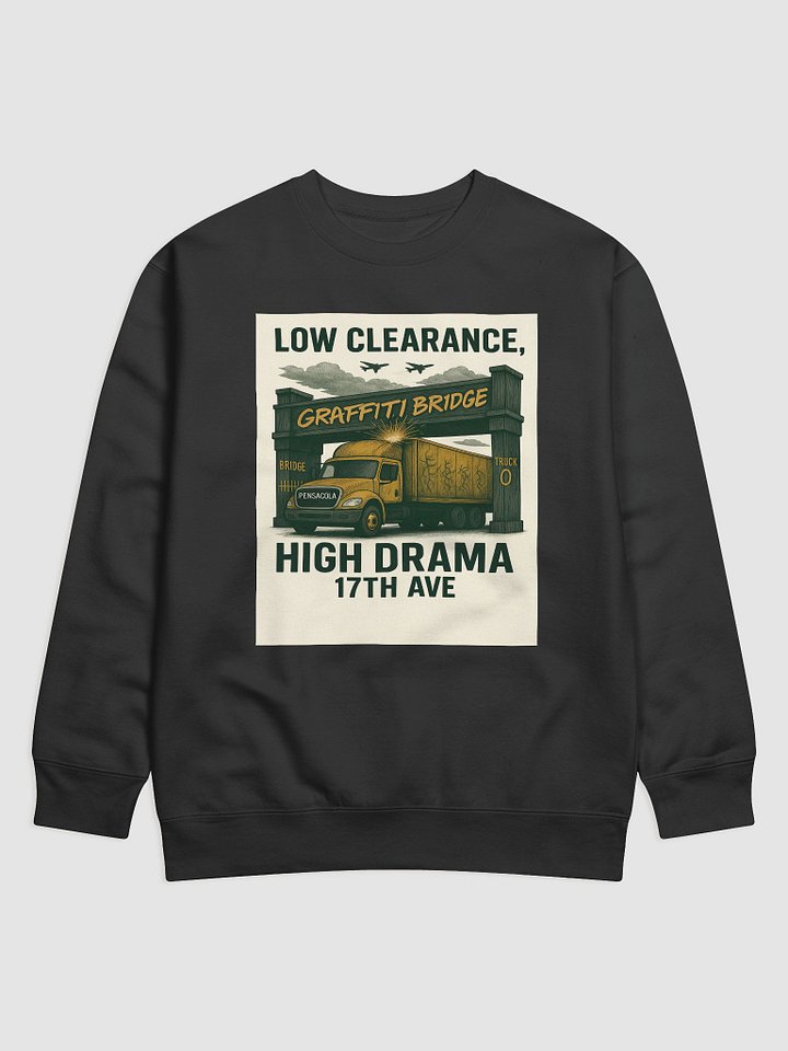 Low Clearance, High Drama Sweatshirt product image (2)