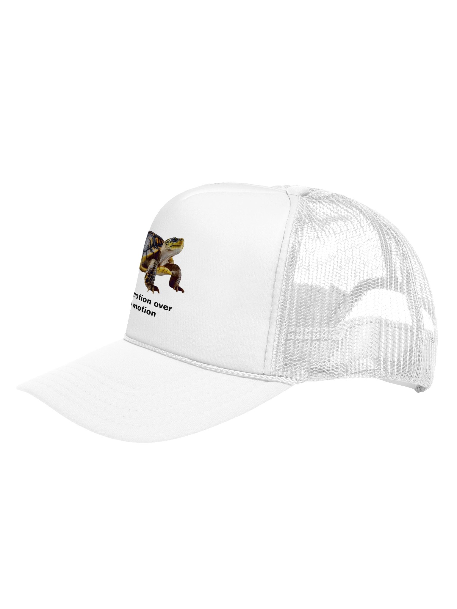slow motion turtle cap product image (2)