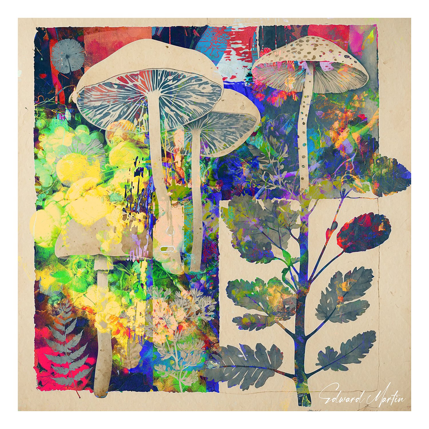 'Forest Magico' by Edward Martin Mixed Media Collage product image (1)