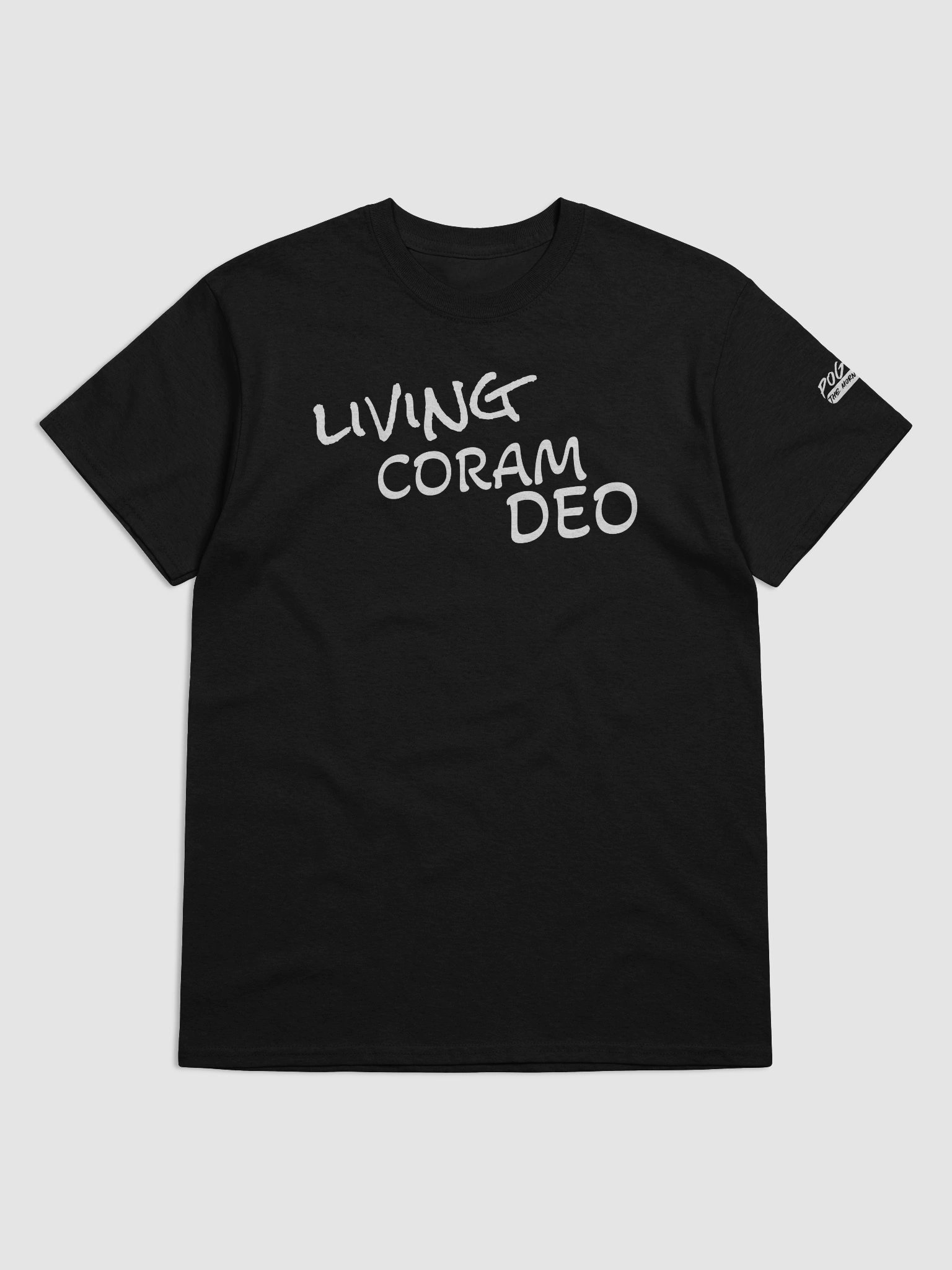 Living Coram Deo product image (38)