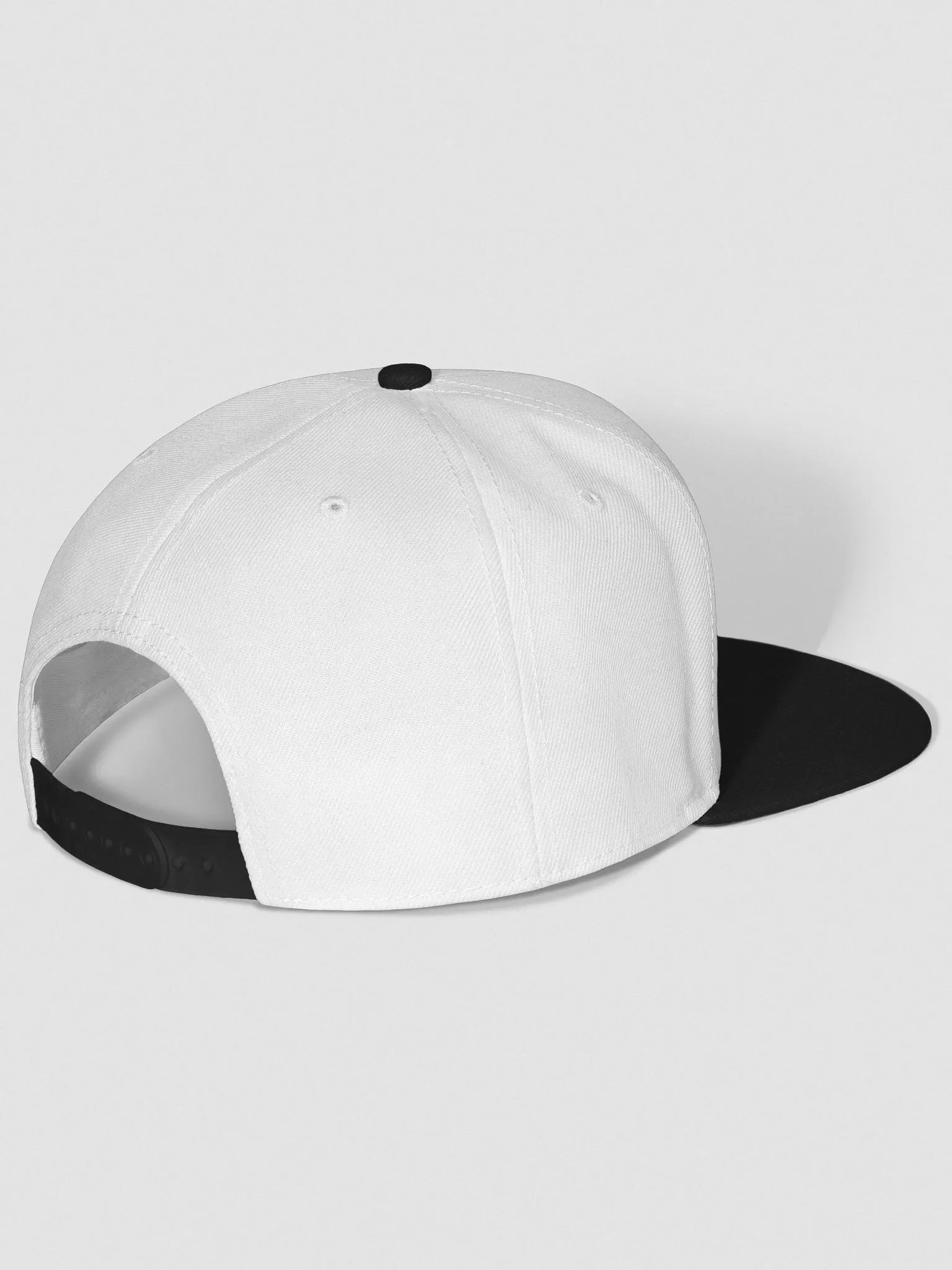 Bears Outline Snapback product image (21)