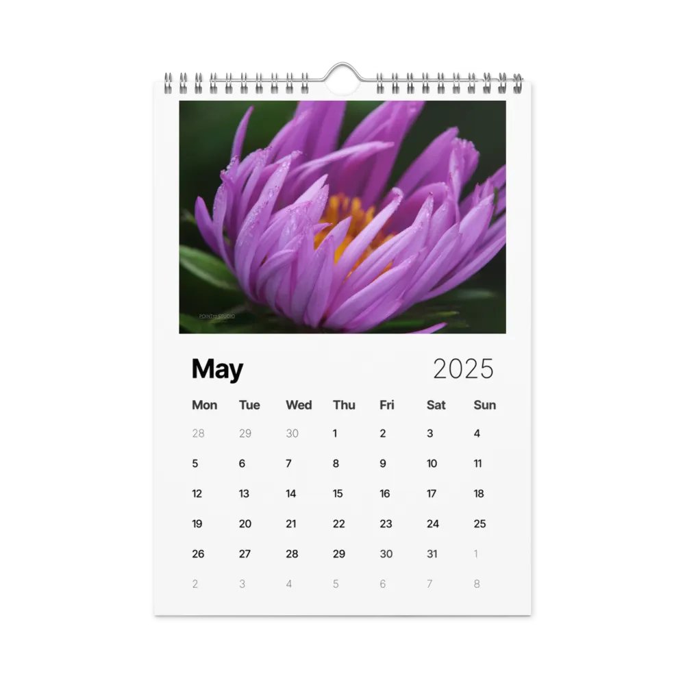 Pure Colors 2025 Wall Calendar product image (6)