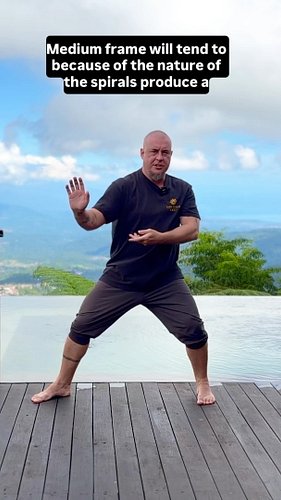 Large and Medium Frame Taijiquan 
.
#taichi #taijiquan #taiji #gongfu #neijia