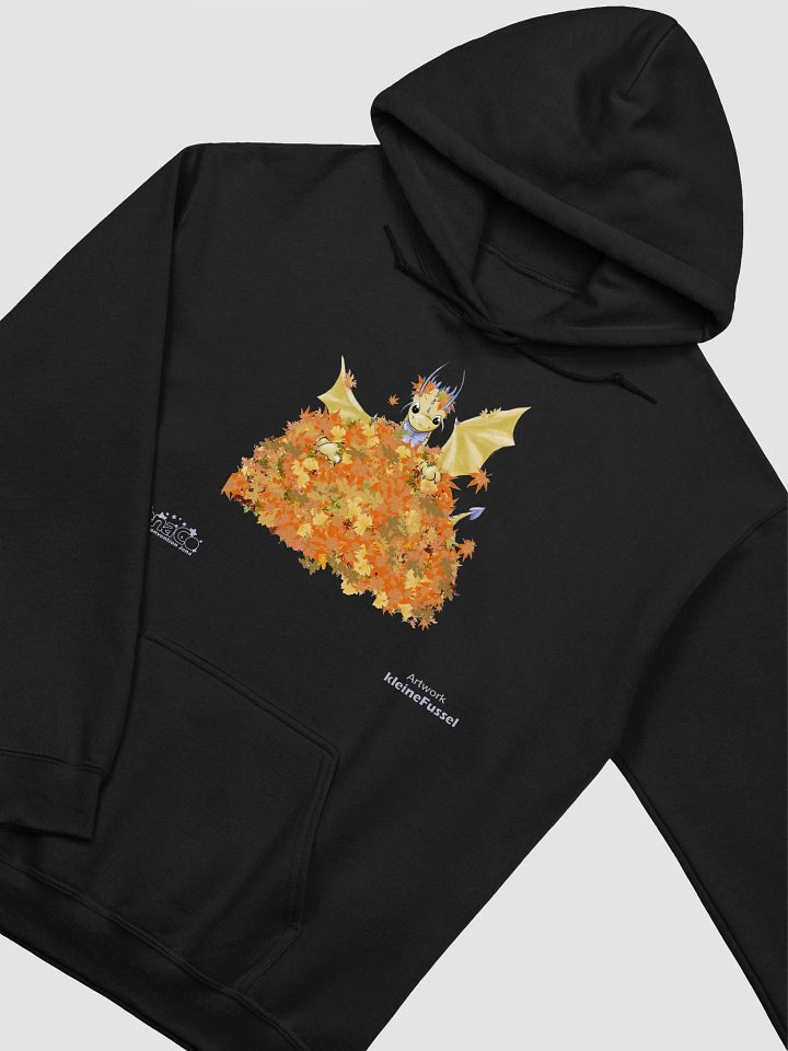 JenaCo II - Hoodie product image (1)