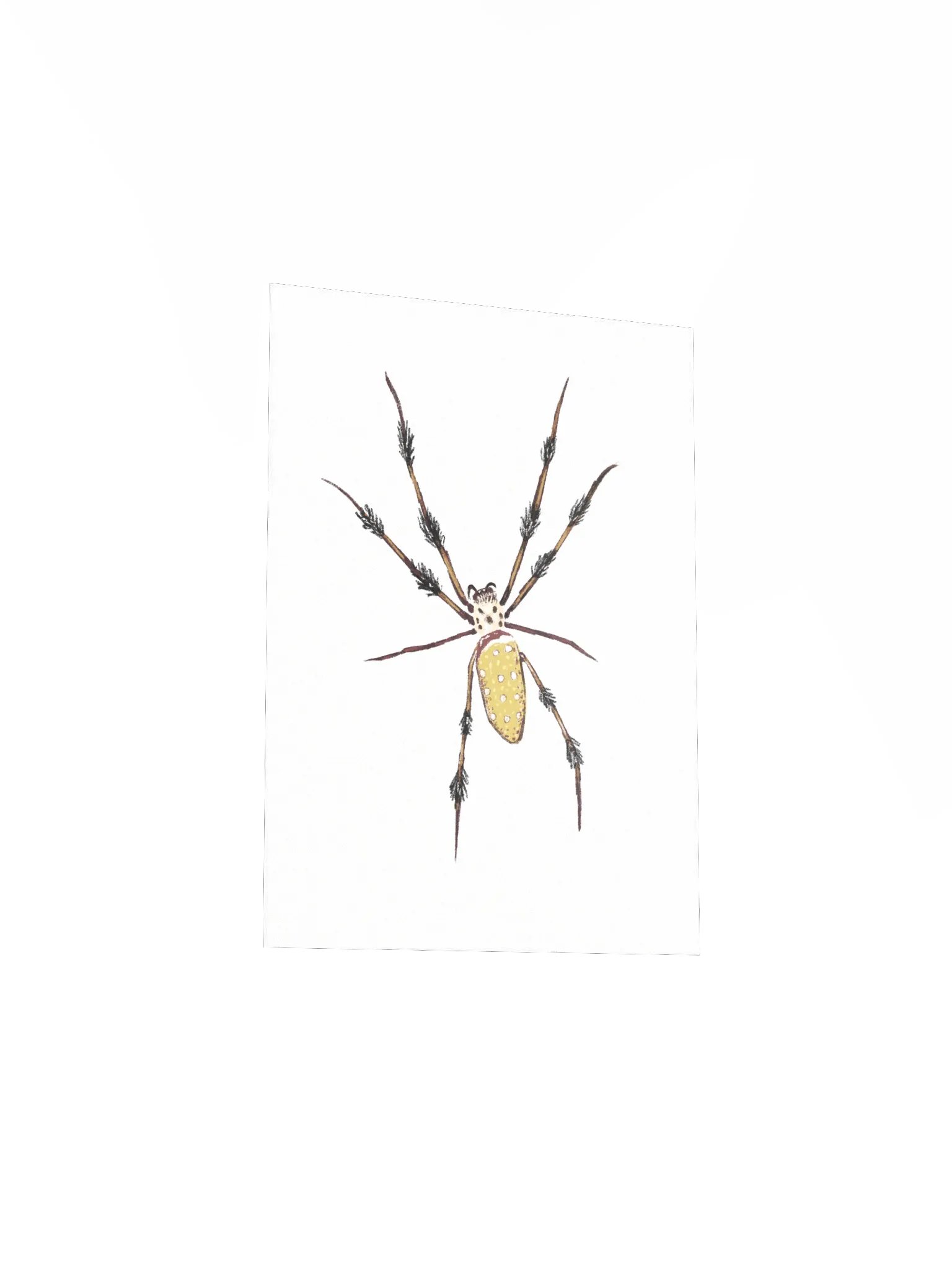 Smart Spider Mini Print product image (3)