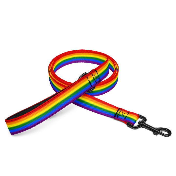 Rainbow Pride Flag Pet Leash product image (1)