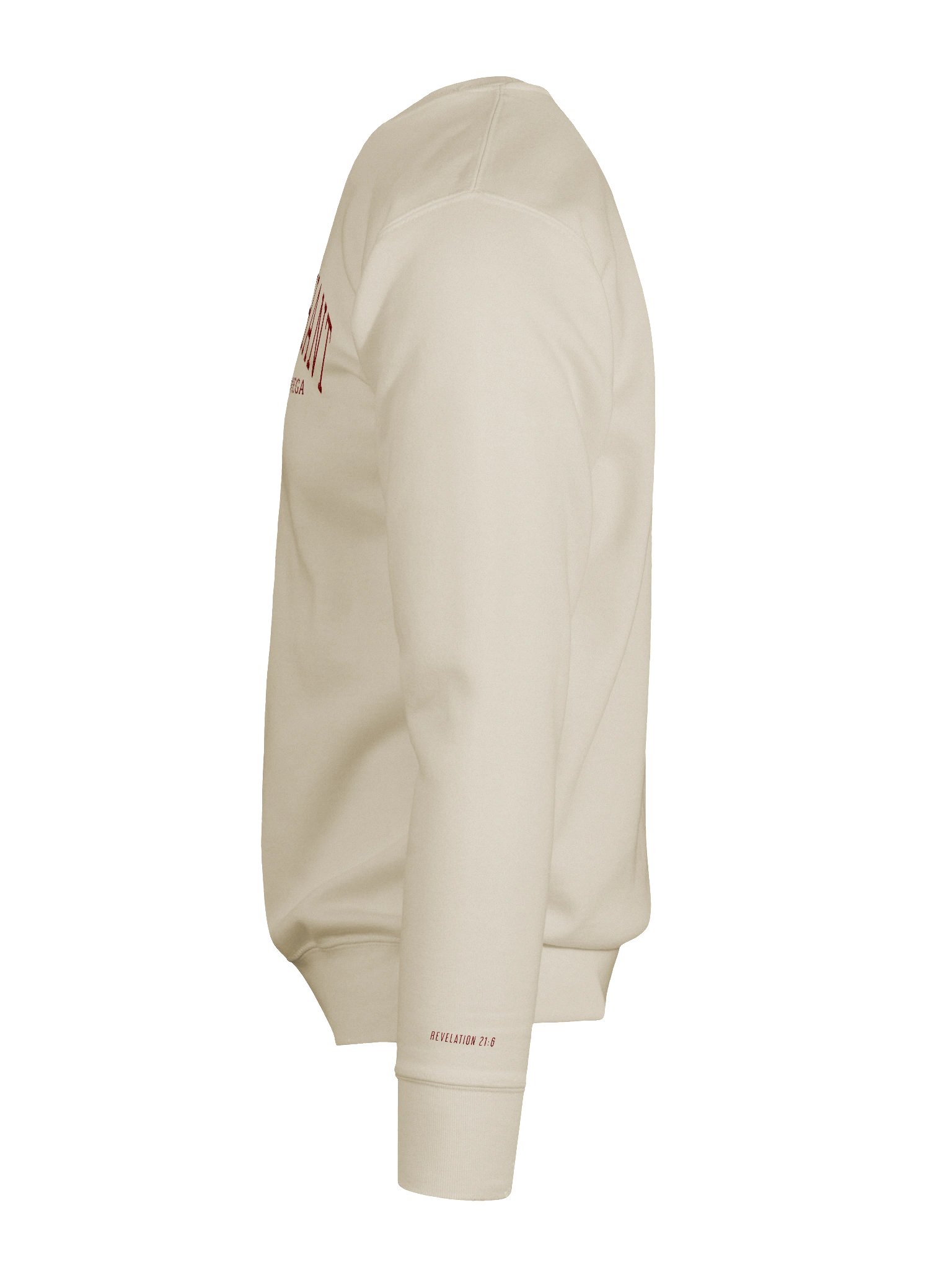 TRIUMPHANT - Embroidered Crewneck product image (3)