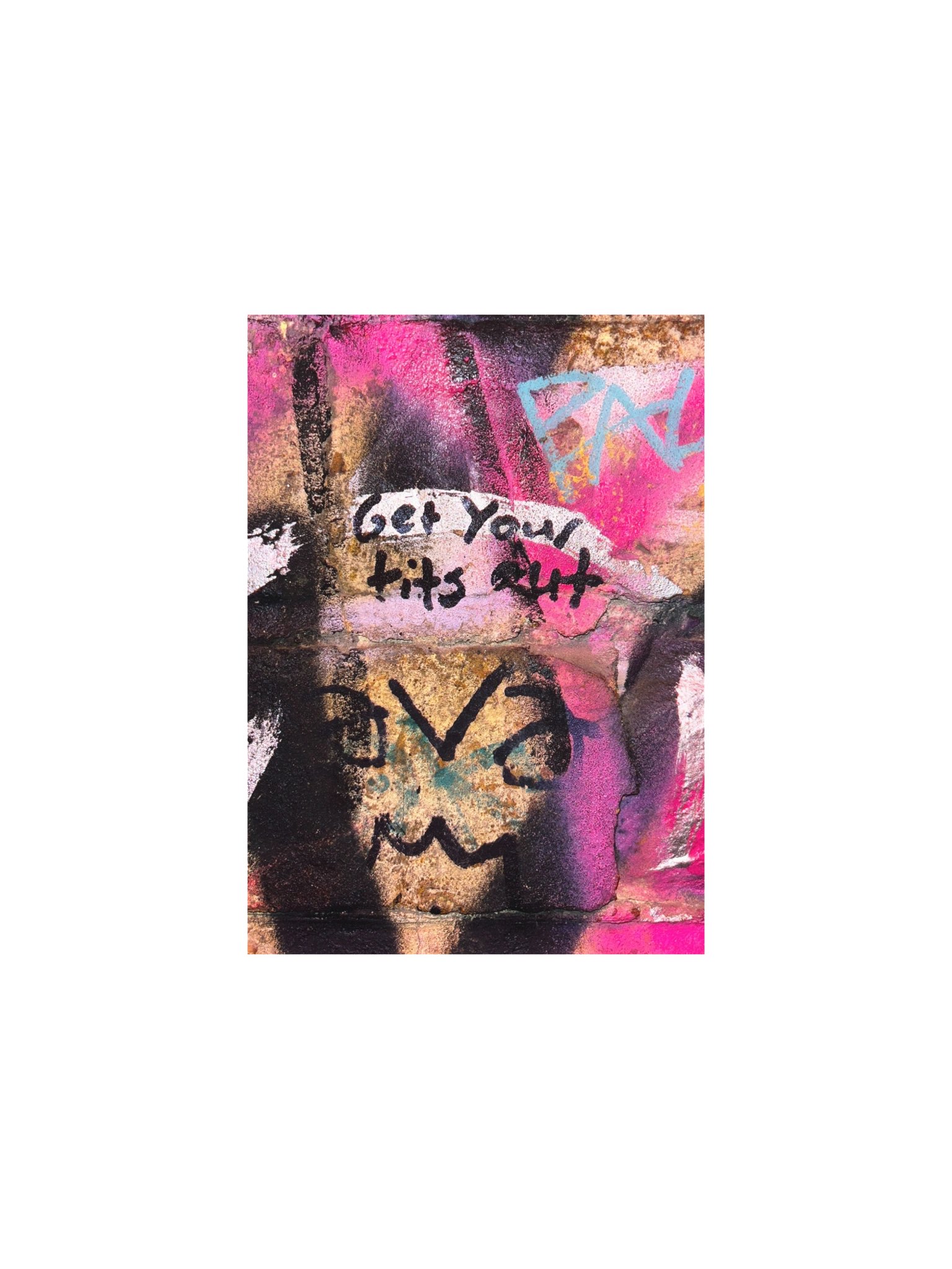 Get Your Tits Out Berlin Bathroom Wall Brick Wall Print product image (3)
