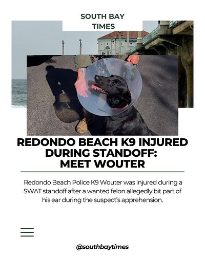 Redondo Beach Police K9 Wouter is recovering after being injured during a standoff earlier this week, when a suspect allegedl...