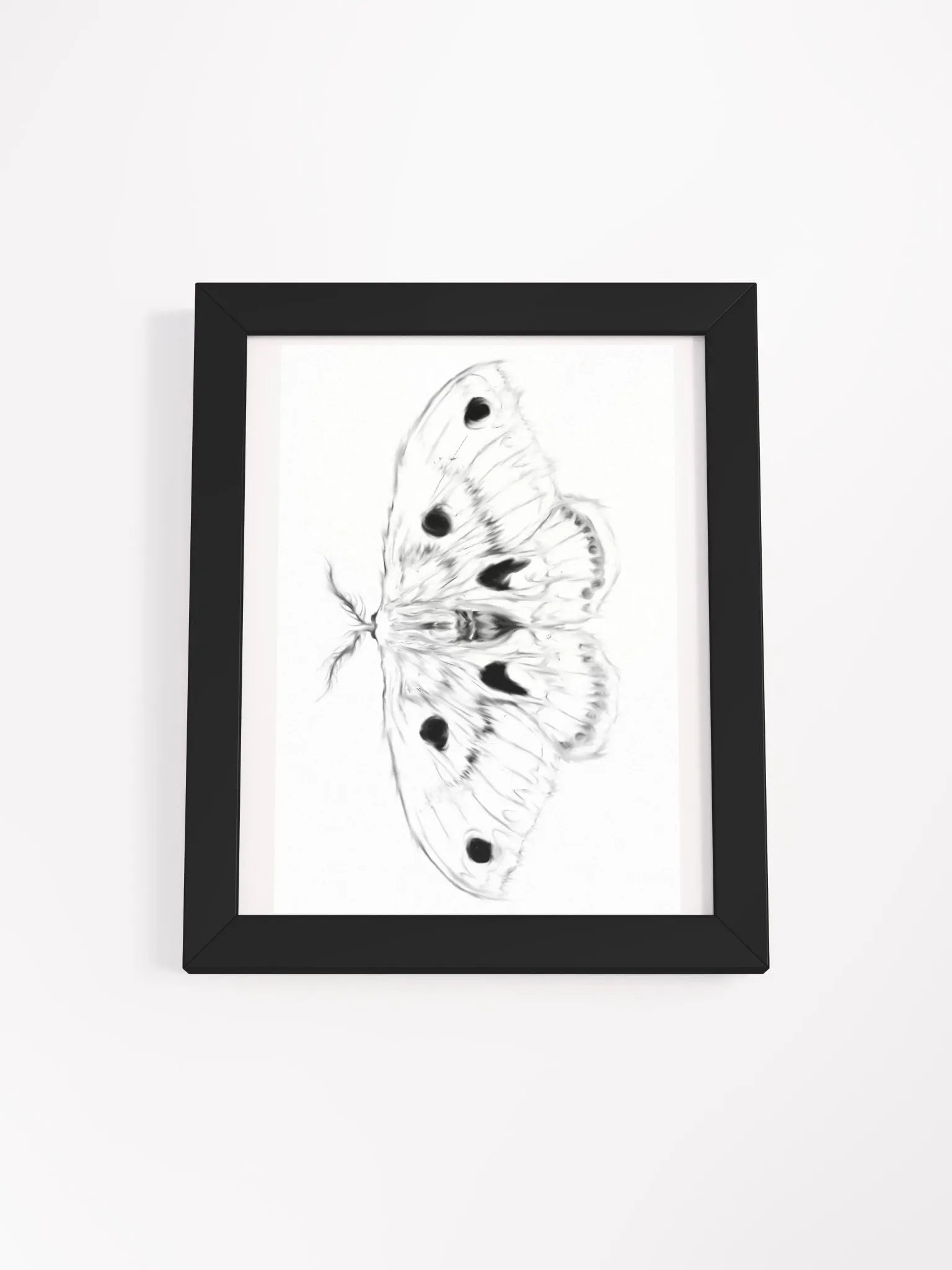 Cecropia Moth Print product image (3)