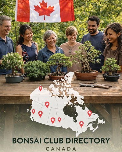 Bonsai is better together.
We’re building a living map of clubs, growers, and communities across the country—so no one has to...
