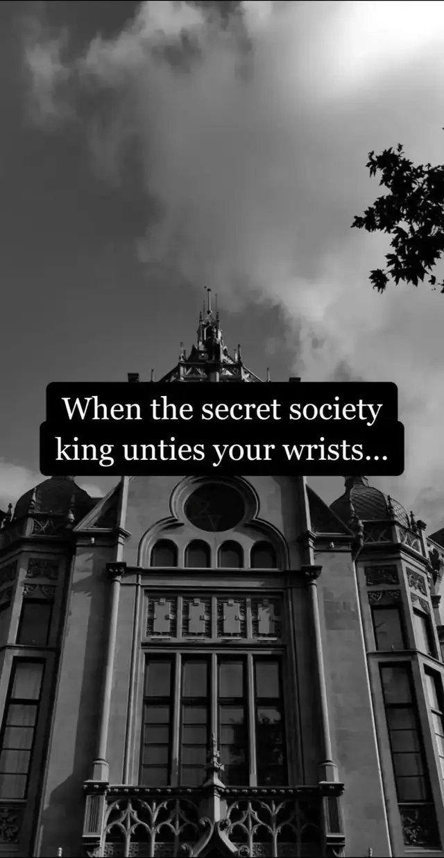 🖤 dark romance 🖤 widow auction 🖤 arranged marriage 🖤 secret society 🖤 morally gray MCs 🖤 OTT possessive hero 🖤 obsessive MMC 🖤 d0m/sub dynamics 🖤 touch her & d!e 🖤 unal!vers 🖤 possessive/obsessive MMC 🖤 forced proximity 🖤 partners in cr!me 🖤 secrets 🖤 