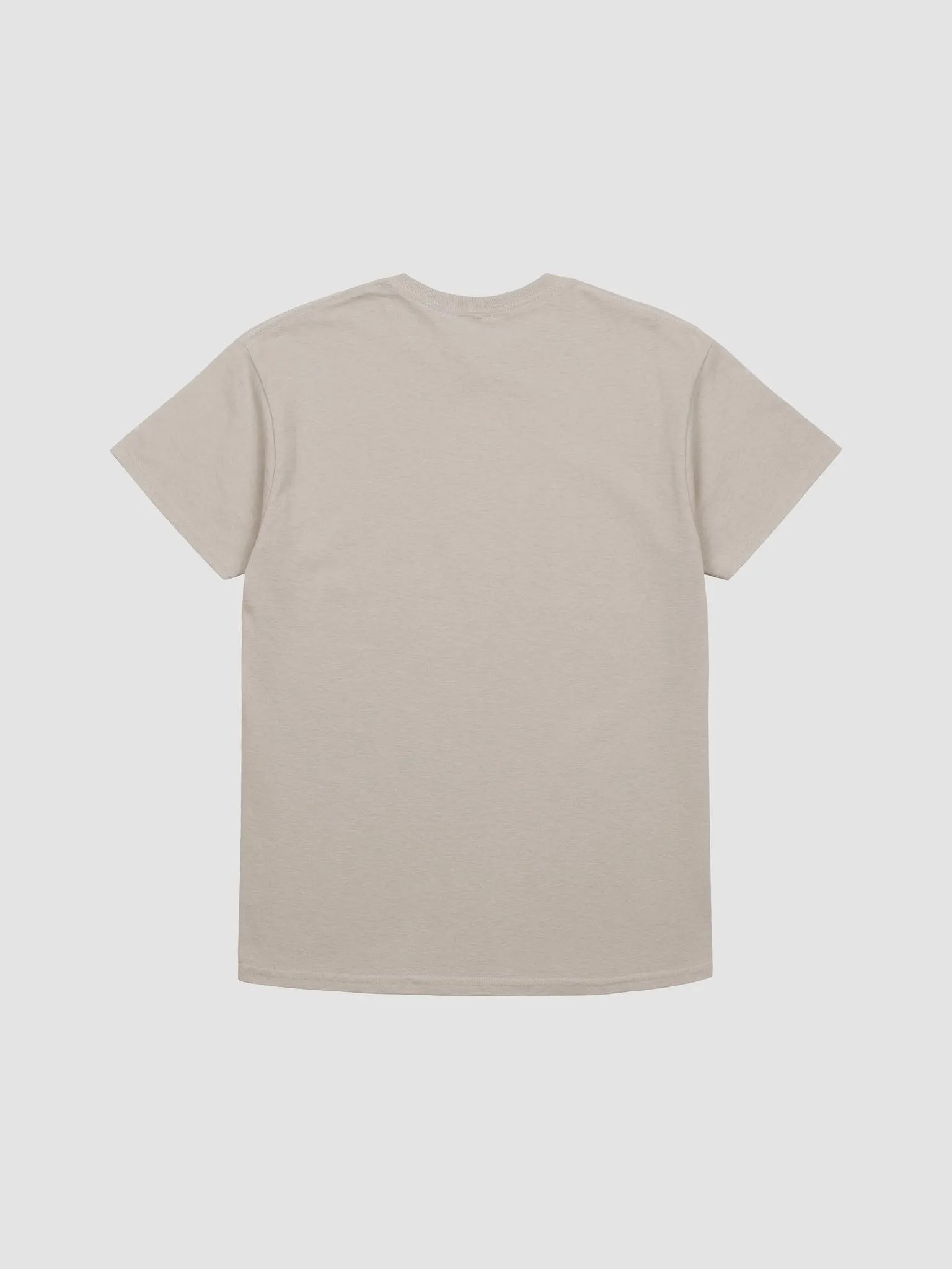 Raven's Landing T-shirt (heavyweight) product image (2)