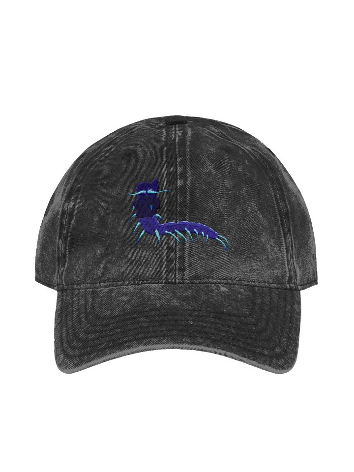 The Gwentipede Wash Dad Hat product image (1)