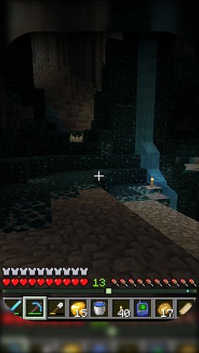 I'll Silk Touch Your Hoe #lazeepanda #minecraftfunny #gamingbanter #streamerclips #minecraft