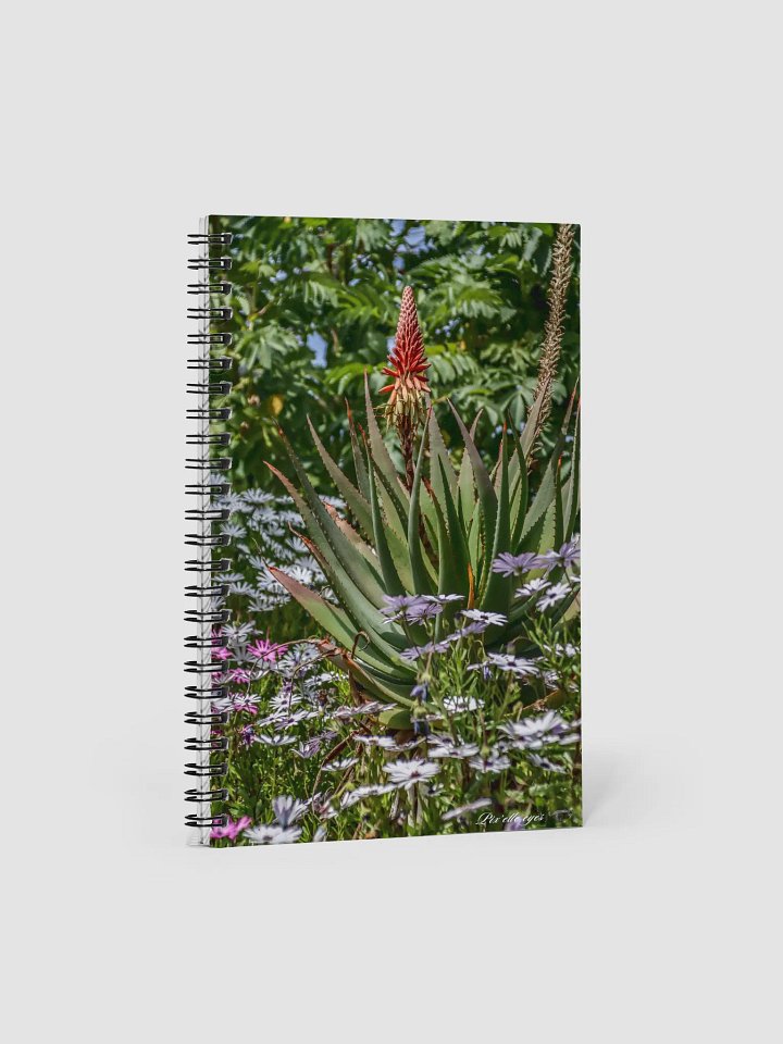📓 Notebook Collection PURE – Jardin du Rayol – Aloe & Marguerites du Cap product image (1)