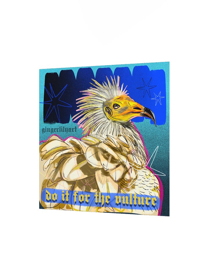 egyptian vulture print product image (3)