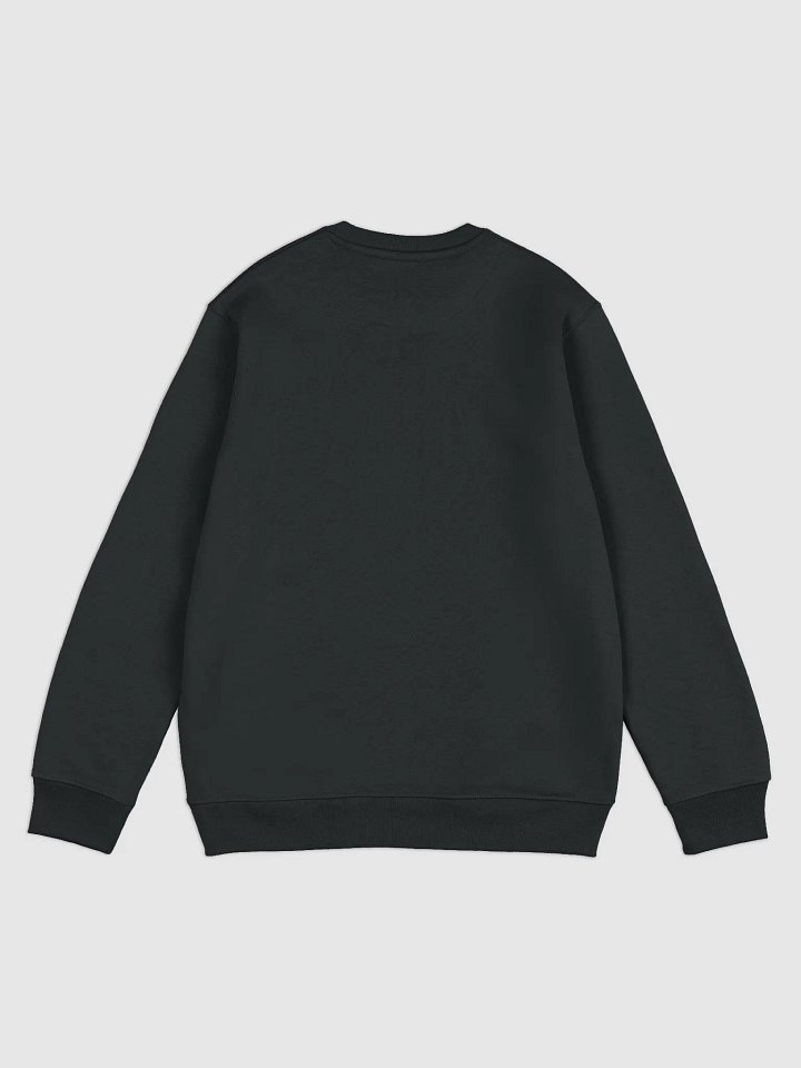 The Kigalian Unisex Eco Sweatshirt product image (9)