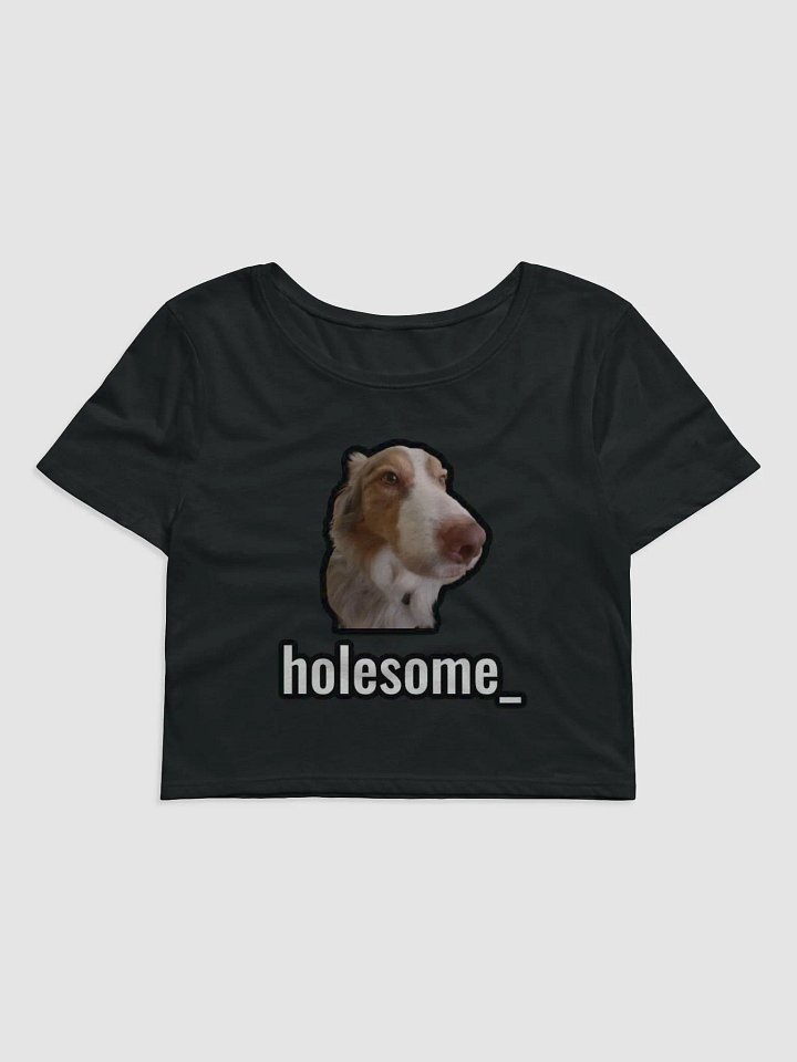 holesome Biggie crop top product image (1)