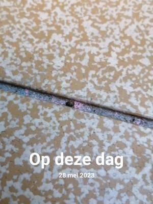 #opdezedag