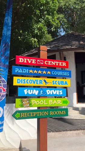 Ready to go PRO? 🌴

Join our Divemaster & IDC programs at Sairee Cottage Diving and transform your love for diving into a lif...