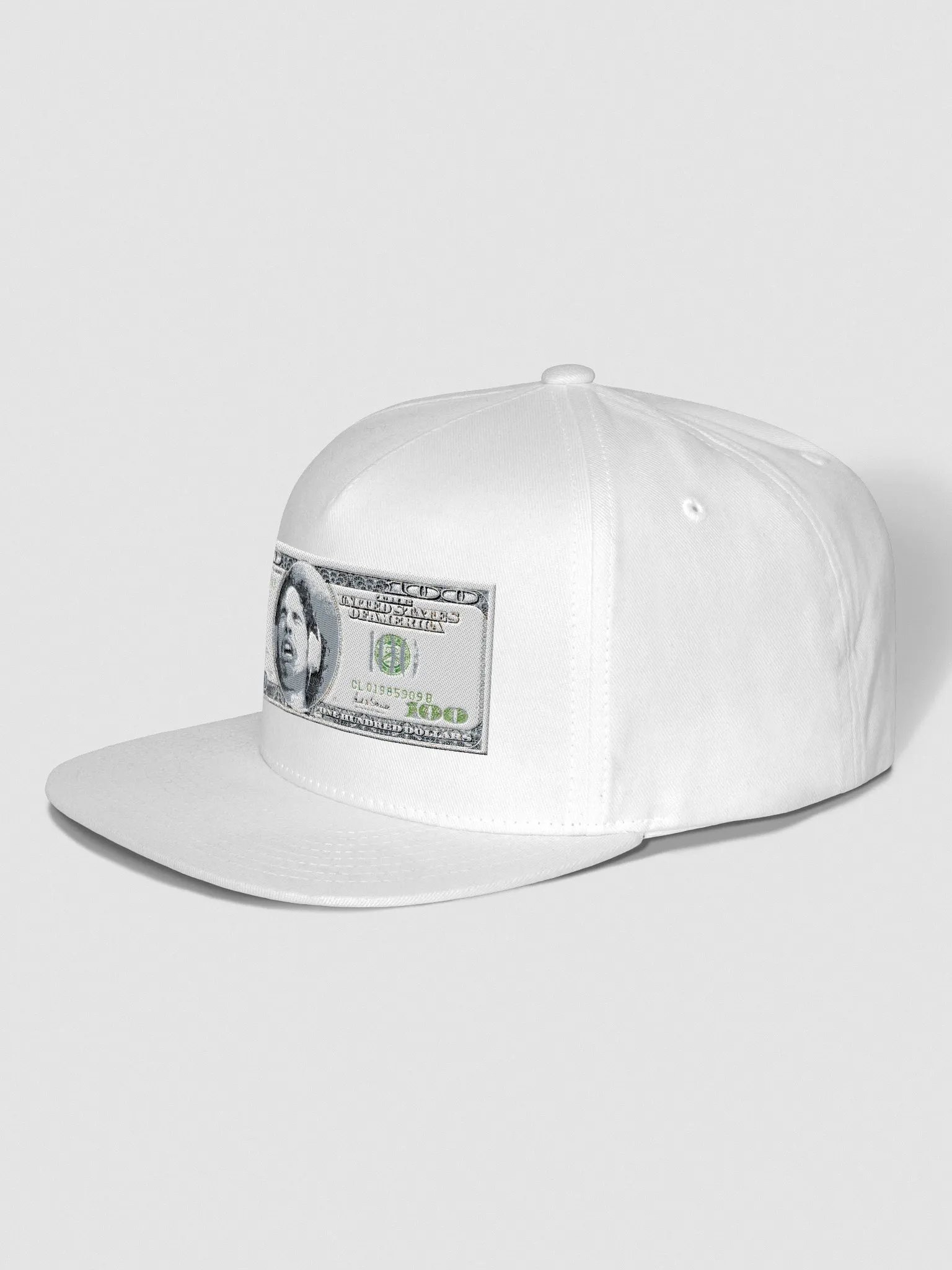 PTT $100 SnapBack product image (3)
