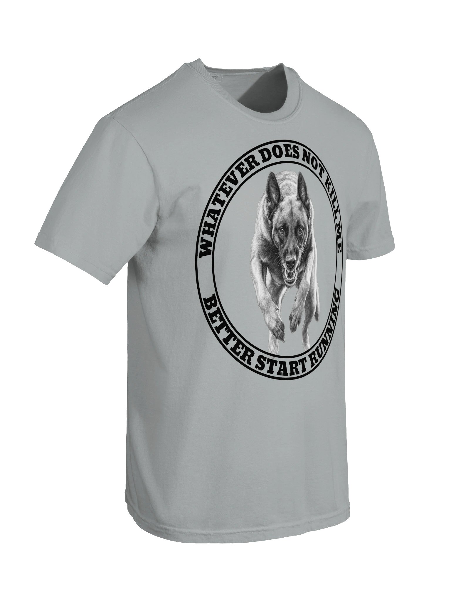 What Ever Does Not Kill Me product image (41)