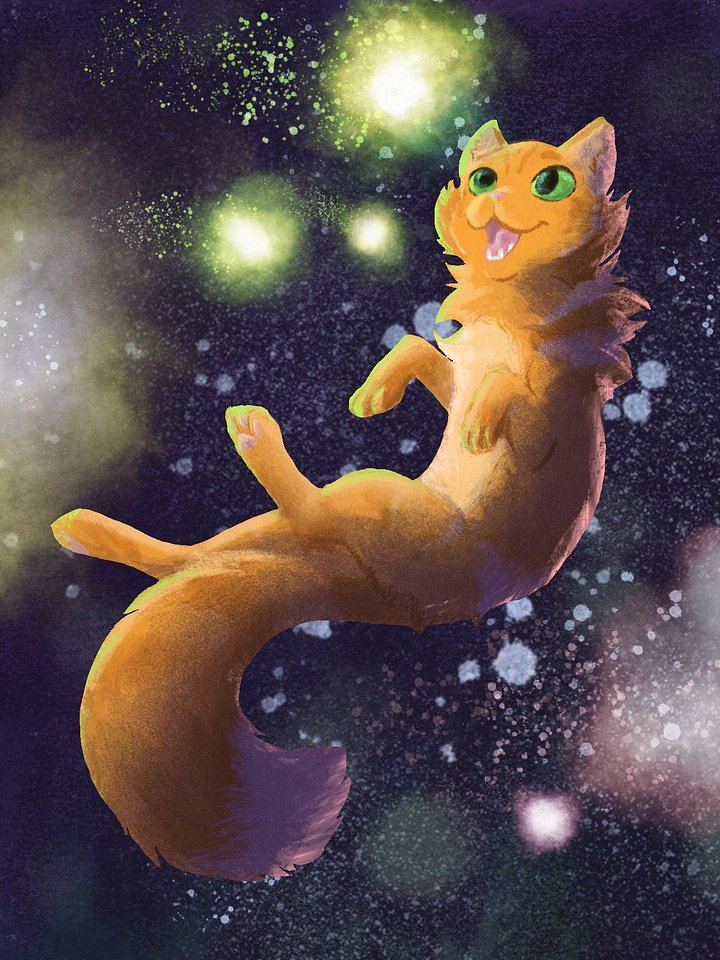 Space Cat - Digital Image File Download product image (1)