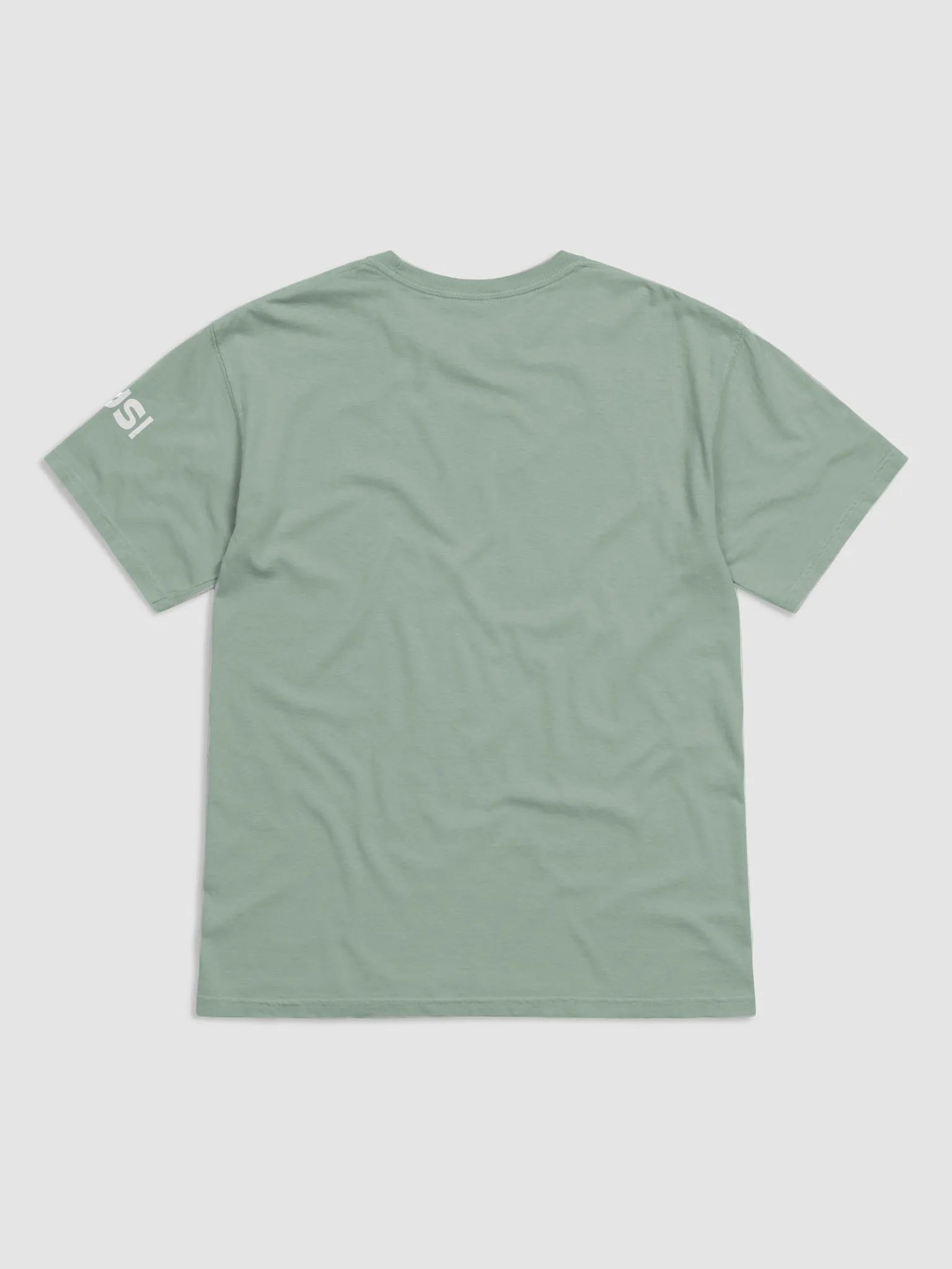 Wild and Free heavyweight garment cotton t-shirt product image (2)