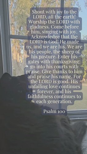 A quiet morning to sip my coffee and play with the Majestic House Panther and marvel at the beauty of Creation. 

#gratefulfo...