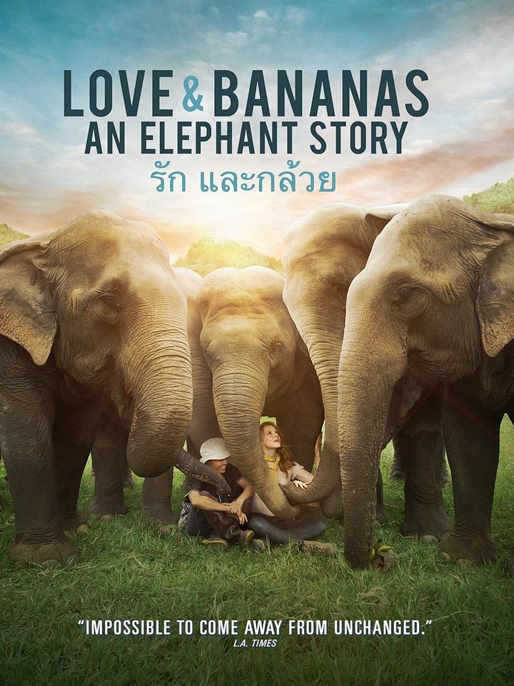 Love & Bananas: An Elephant Story. Directed by and Starring Ashley Bell. product image (1)