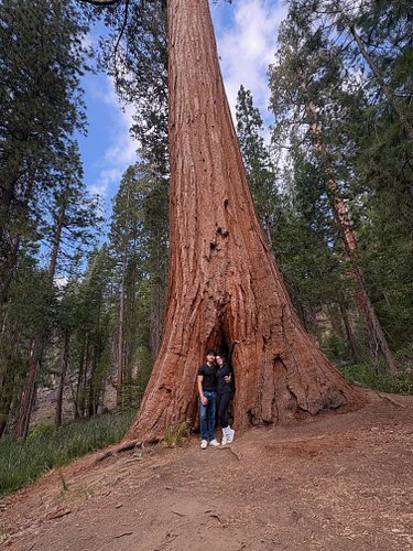 Had a great time at @yosemite_national_park  with @yo_madz_ 💜🖤
•
•
•
•
•
•
•
•
•
•
•
•
#traveling #yosemite #couple #fyp #nat...