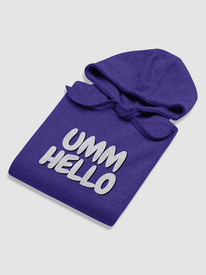 UMM HELLO?? Hoodie product image (2)