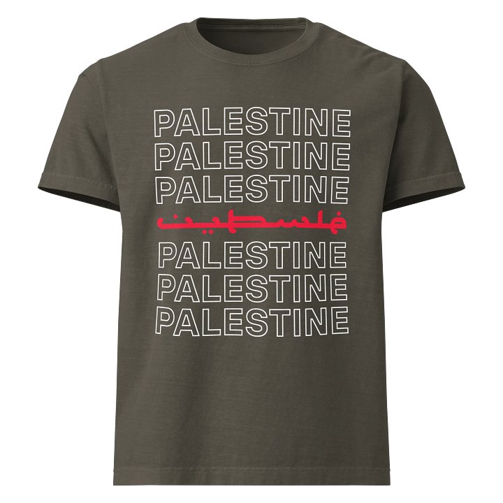 Palestine Oversized Unisex T-shirt product image (5)