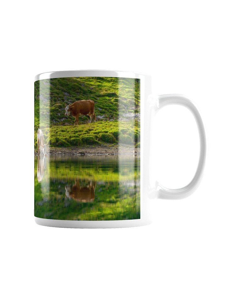 Cows with their reflections product image (5)