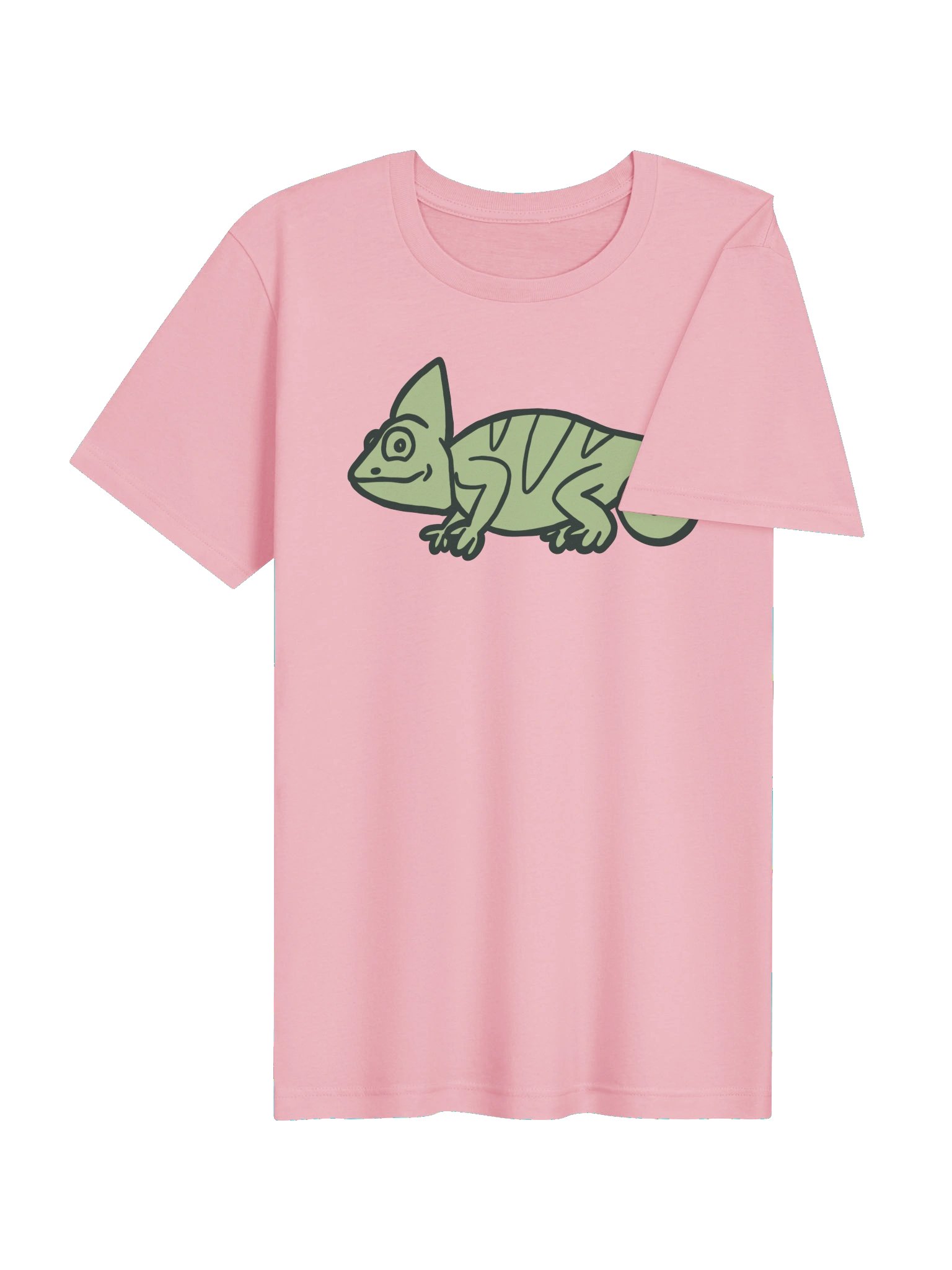 Chameleon T-Shirt product image (18)