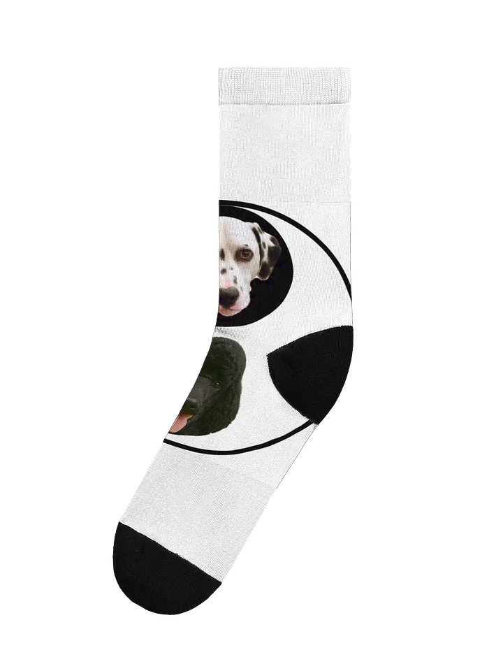 SOCKS! STEP OUT WITH JSTV MASCOTS product image (1)
