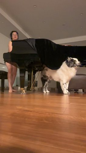 delulu: my dog is perfect
deruru: my dog is a music prodigy